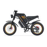 Coswheel GT20 Electric Cargo Bike - PREORDER - ETA NOVEMBER END.
